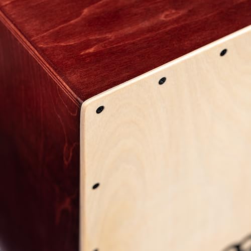 Top surface of the Meinl Baltic birch drum