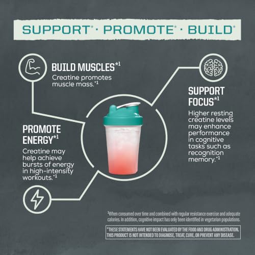 Sunwarrior Creatine Monohydrate micronized powder texture