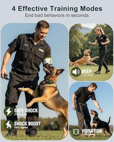 Remote control for Jugbow BTC801 collar