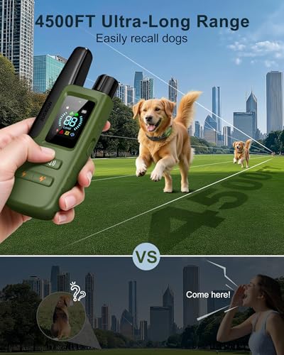 Adjustable strap on Jugbow dog training collar