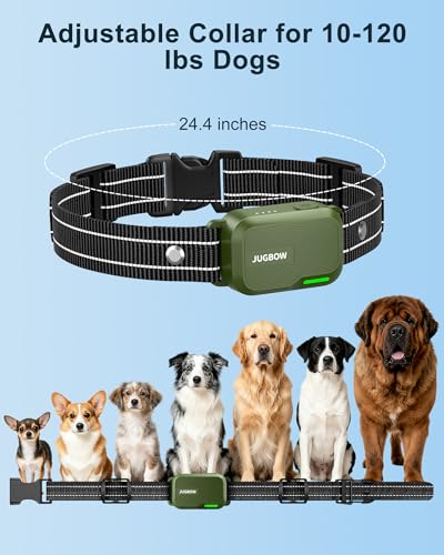 Side view of green Jugbow dog training device