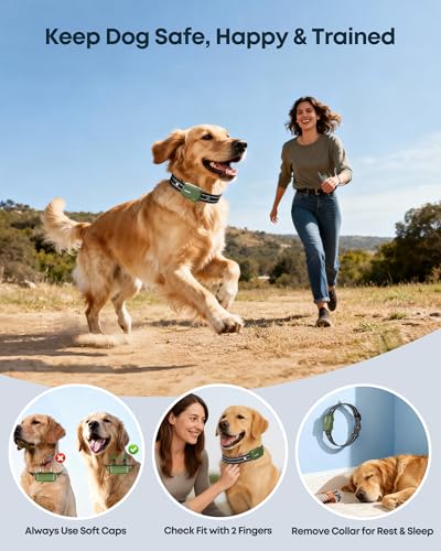 Jugbow training collar worn by a dog