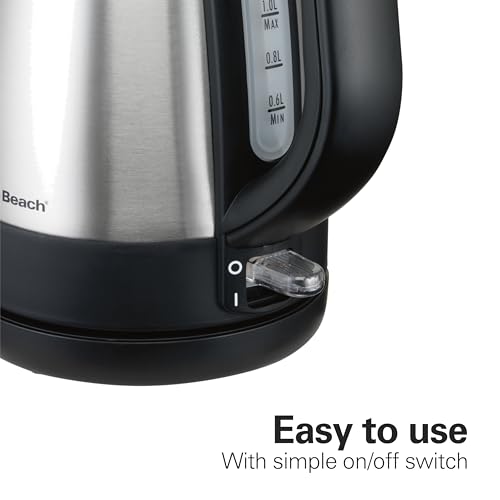Easy-pour spout with removable mesh filter