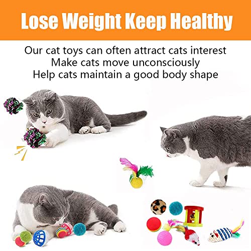 Cat tunnel extended length view