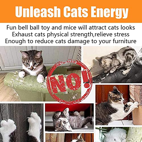 Toy collection set for indoor kittens