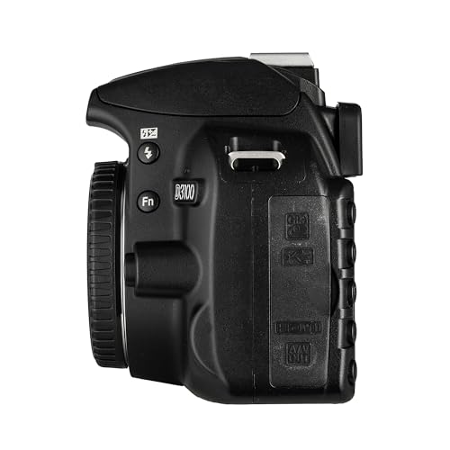 Nikon D3100 lens mount detail