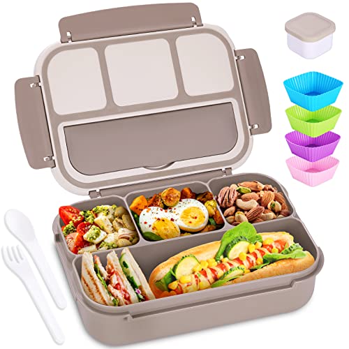 Shell and Turtle brown bento box closed view