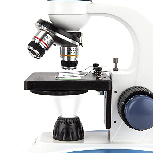 Monocular viewing head with widefield eyepieces