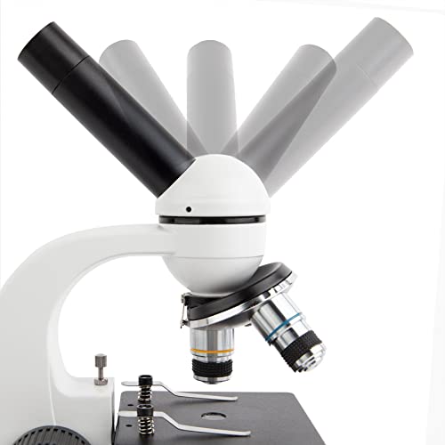 Microscope nosepiece with 4x, 10x, 40x objectives