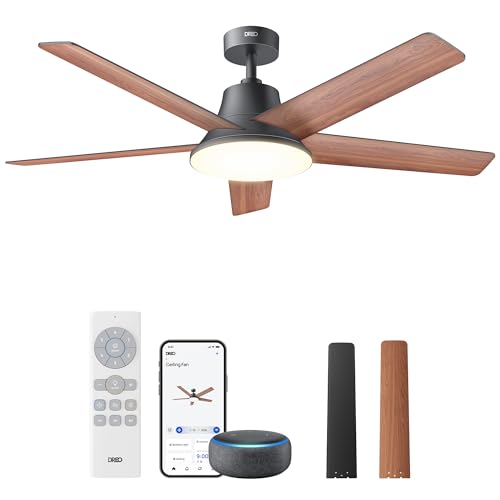 DREO 52 Inch Smart Ceiling Fan with Lights black finish