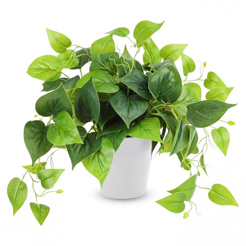 CEWOR Artificial Pothos in white pot