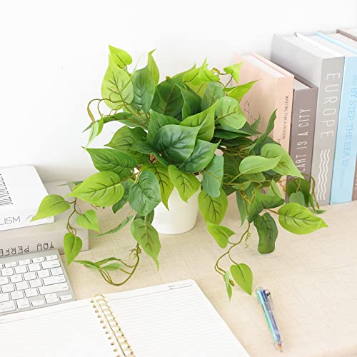 Pothos plant on a decorative bookshelf