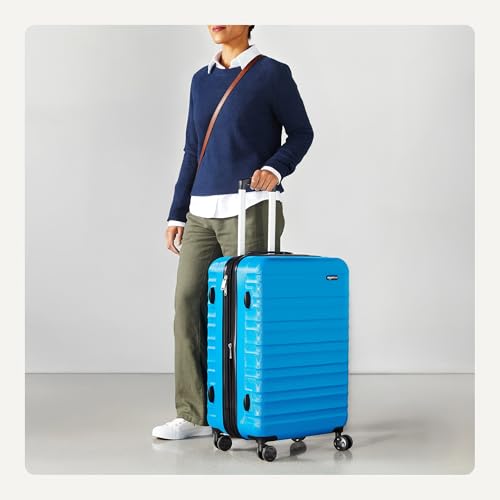 Interior organization of Basics 26-inch suitcase
