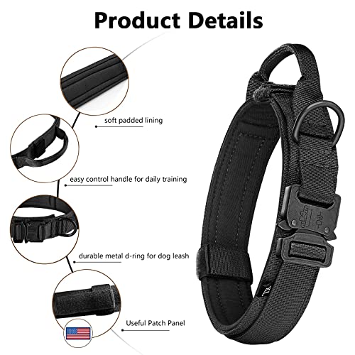 Airtag case attached to nylon collar