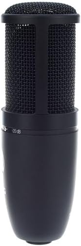 Close up of the AKG P120 grille