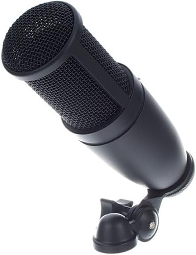 AKG P120 showing XLR connector port