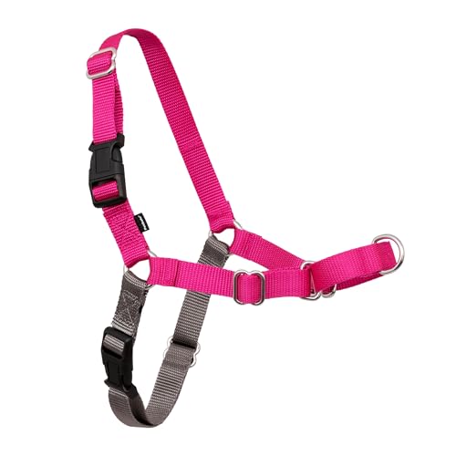 PetSafe Easy Walk Harness Raspberry front view