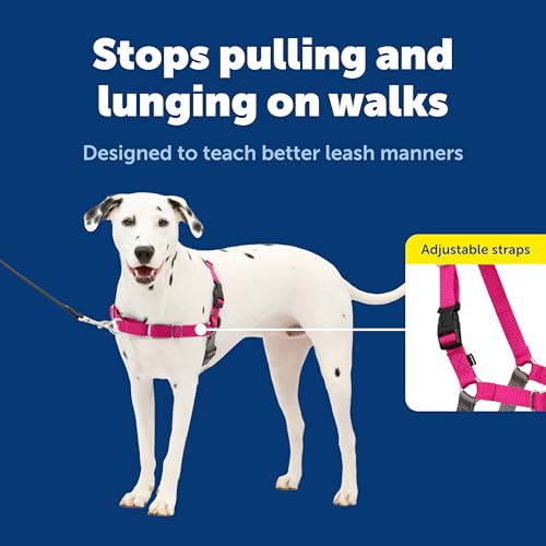 Adjustable straps on PetSafe Easy Walk harness