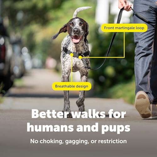 Close up of PetSafe harness quick-snap buckle