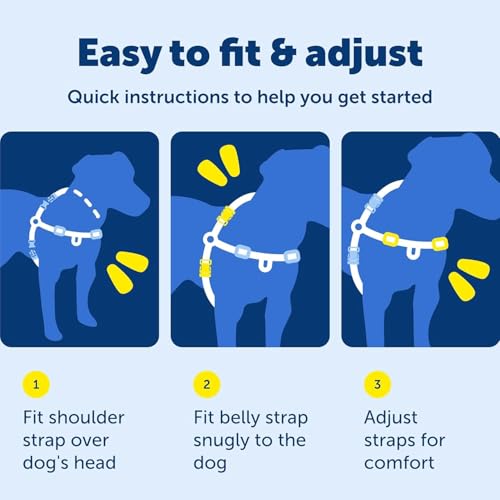 PetSafe Easy Walk harness worn by dog
