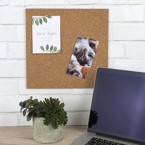 Four natural cork tiles arranged on a wall