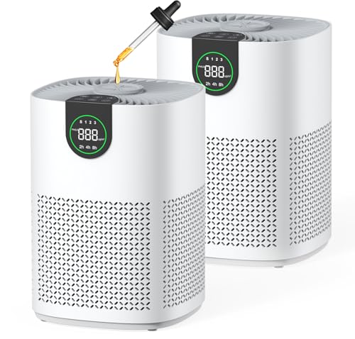 VEWIOR 2 Pack Air Purifiers front view