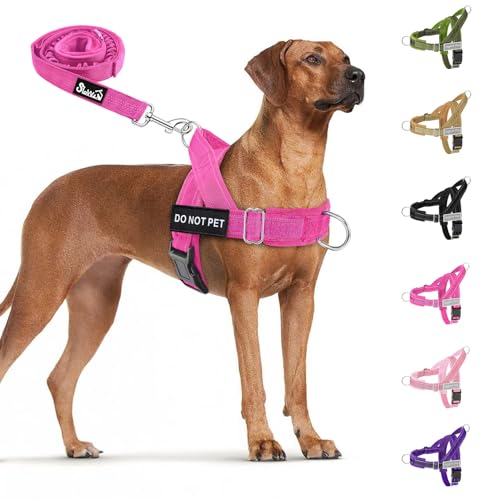 SlowTon No Pull Dog Harness and Leash Set Fuchsia
