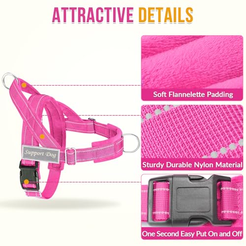 Adjustable neck and chest straps on SlowTon harness