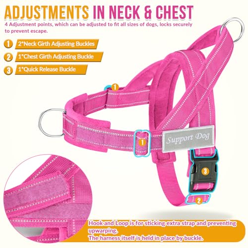 SlowTon leash with dual handles and elastic bungee