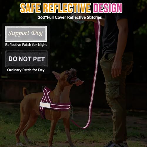 SlowTon harness with Do Not Pet and Support Dog patches