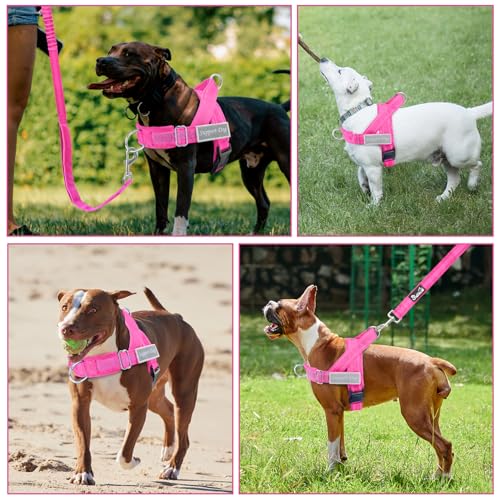 Large size SlowTon harness kit in Fuchsia