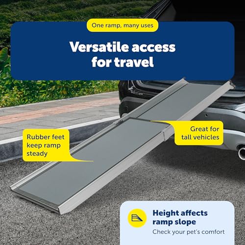 Large dog walking up PetSafe extra long ramp