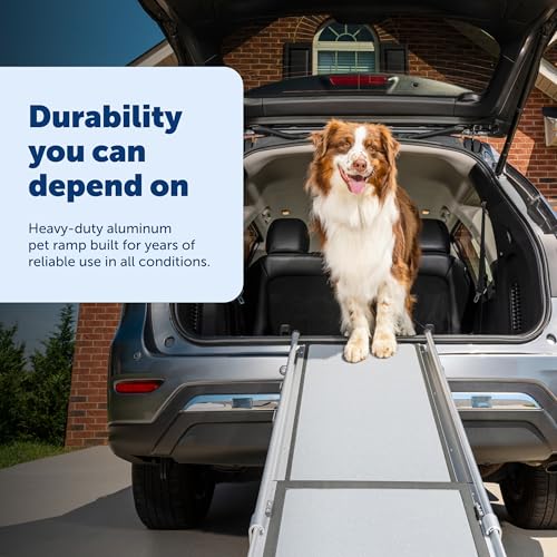 PetSafe ramp folded in gray color
