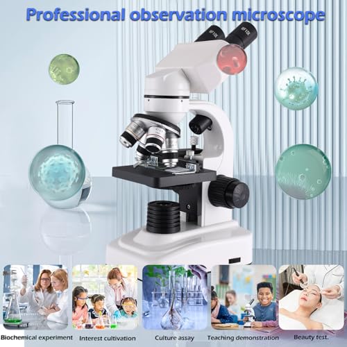 Binocular microscope for adults