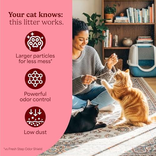 Two pack cat litter bundle overview