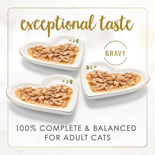 Gravy Lovers cat food with real poultry