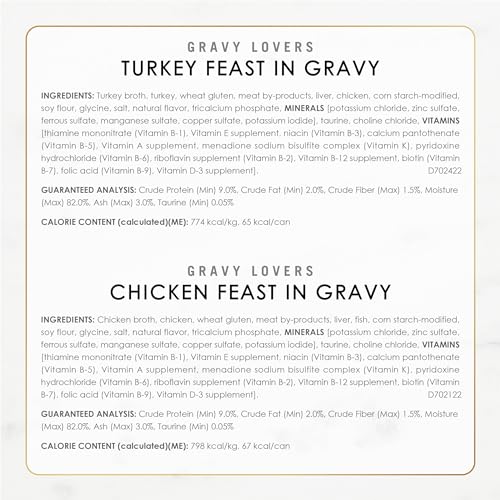 Wet cat food with savory gravy