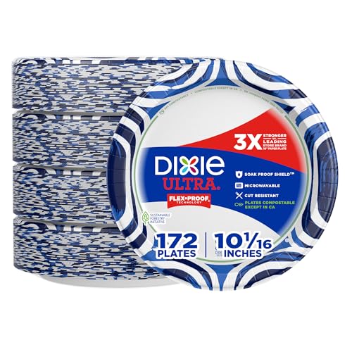 Dixie Ultra Large 10 Inch Paper Plates 172 Count stack