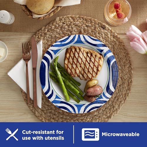Dixie Ultra 172 count paper plates packaging