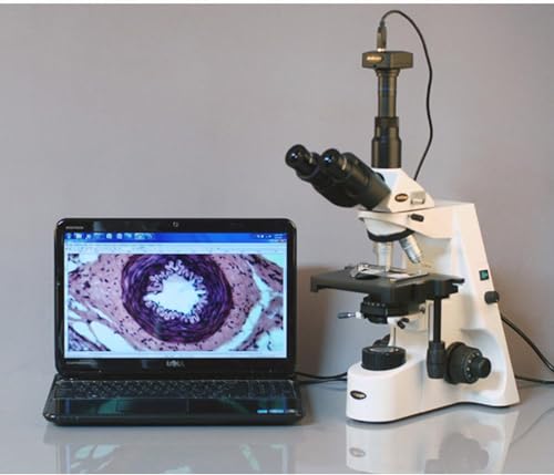 AmScope T690B-PL mechanical stage and focus controls
