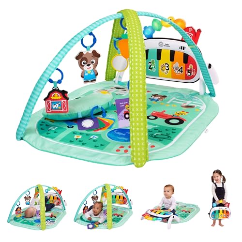 Baby Einstein Farm Explorers 4-in-1 Gym overhead view