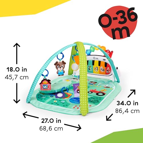 Baby Einstein Musical Meadow with sensory toys