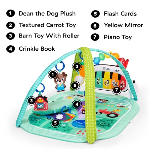 Baby Einstein gym set with detachable Dean the Dog plush