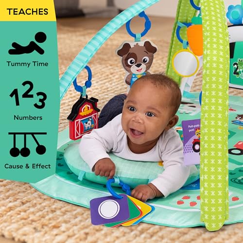Baby Einstein activity gym folded for transport