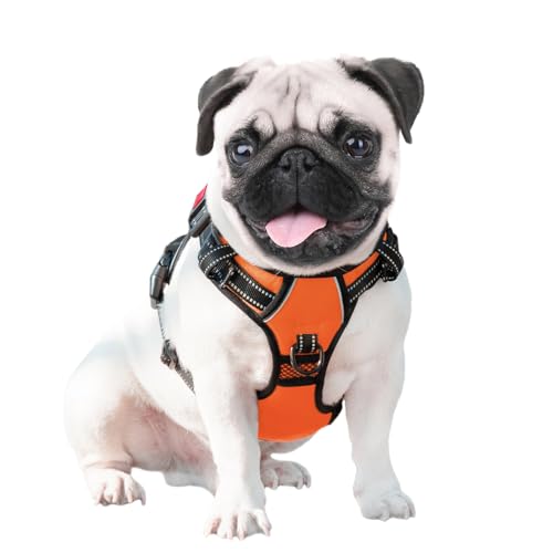 Orange PHOEPET harness model B1013 worn by dog