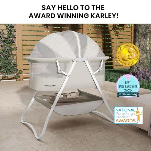 Karley portable bassinet with canopy up