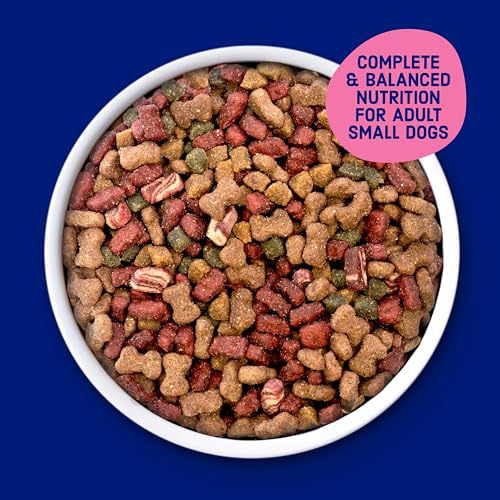 Kibbles 'n Bits Mini Bits kibble texture closeup
