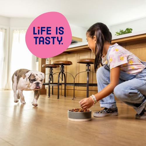 Kibbles 'n Bits Mini Bits dog food serving suggestion