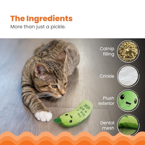Pickle kicker toy on floor
