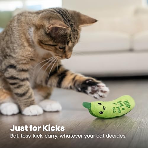 Cat interacting with pickle toy